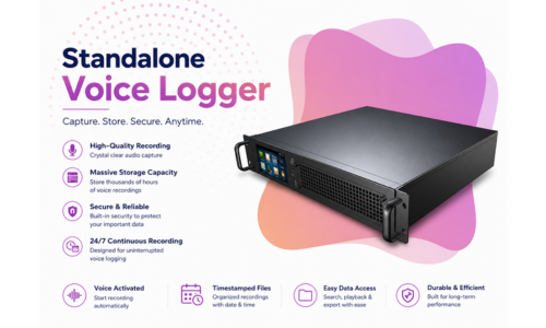 standalone-voice-logger.png